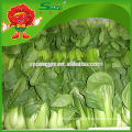 Organic Pollution free Chinese frozen pakchoi cabbage